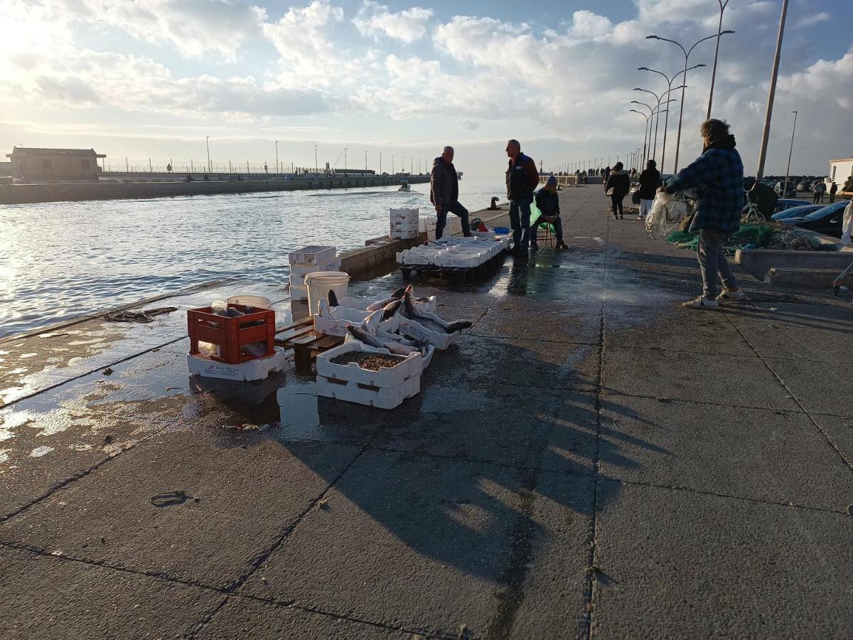 Summer&Winter Home By The Sea Fiumicino Exterior foto